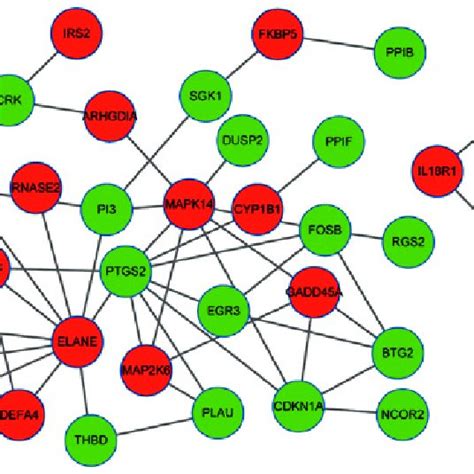 Protein Protein Interaction Networks Of Differentially Expressed Genes