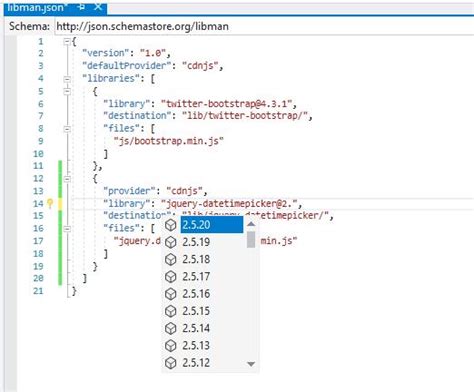 Client Side Package Management With Library Manager In Visual Studio