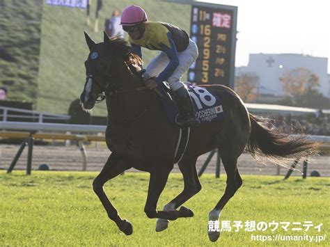 有馬記念2022特集｜競馬予想のウマニティ