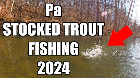 Pa Trout Fishing Insanity Stocked Trout Fishing Youtube