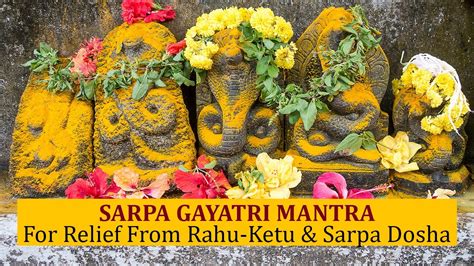 Sarpa Gayatri Mantra For Relief From Rahu Ketu Sarpa Dosha Youtube