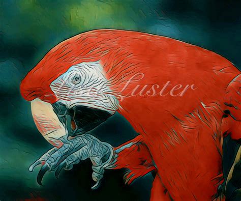 Scarlet Macaw Parrot Photograph - Etsy