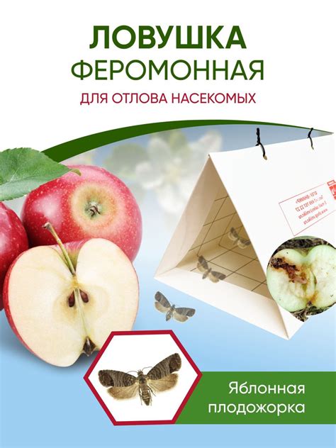 Феромонная ловушка для яблонной плодожорки и грушевой, на основе ...