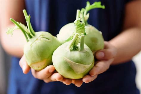 How To Harvest And Store Kohlrabi Harvest To Table