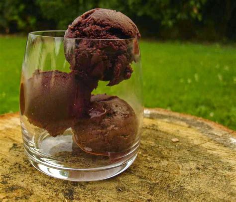 S Cotine Fait Sa Maligne Le Sorbet Au Cacao Qui Se Prenait Pour Une