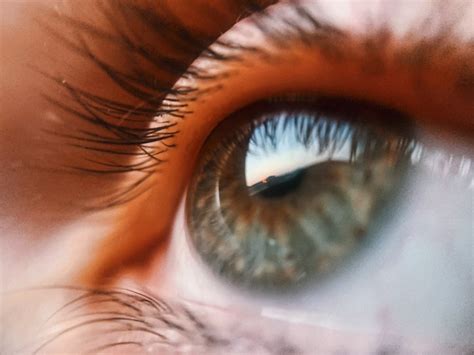 Eye Of Person With Reflection · Free Stock Photo