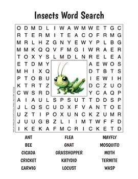 Insects Word Search By Jennifer Olson Educational Resources Tpt