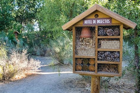 How To Make A Bug Hotel Top 3 Tips On Homes For Bugs Garden Benches