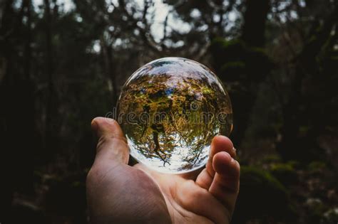 Hand Holding A Reflective Glass Ball In A Forest Stock Photo Image Of