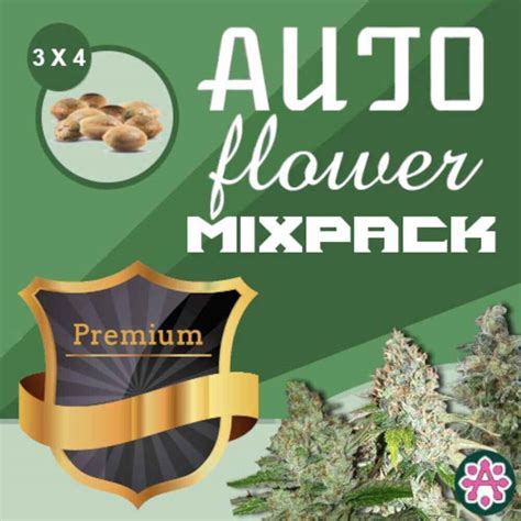 Autoflower Variety Pack Feminized Seeds Dagga Seeds