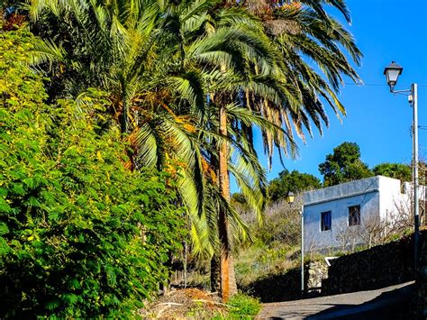 Las Hayas: Bildergalerie der kleinen Siedlung auf La Gomera
