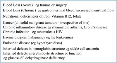 Hemoglobin To Hematocrit Conversion Chart A Visual Reference Of Charts