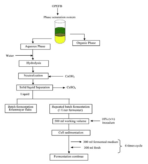 Ethanol Process Flow Diagram