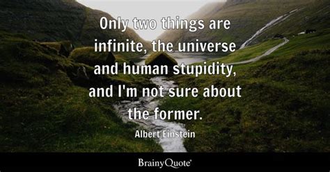 Stupidity Quotes - BrainyQuote