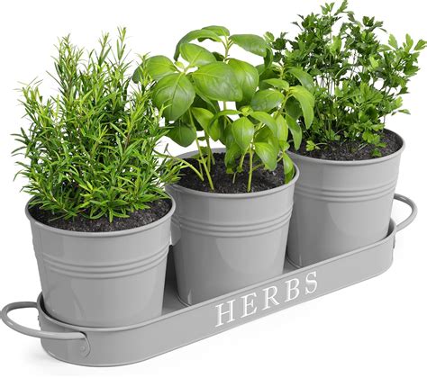 Barnyard Designs Indoor Herb Garden Planter Set With Tray Metal