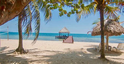 8 Unit Beachfront Hotel For Sale Maya Beach Placencia Belize 7th