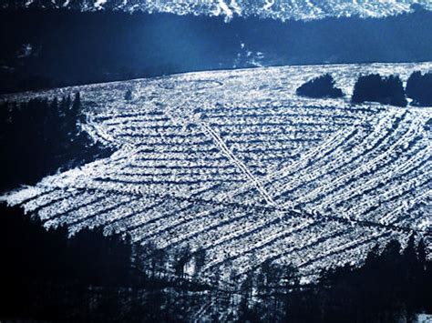 The First Time I Had Sex My Mouth Was Numb Brevity A Journal Of Concise Literary Nonfiction