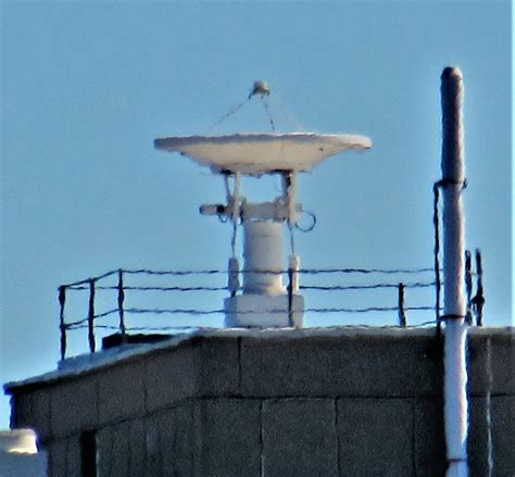 A shocking Williamson White discovery was revealed in court today