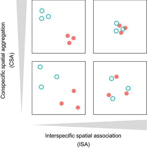 Measurement And Analysis Of Interspecific Spatial Associations As A Facet Of Biodiversity Keil