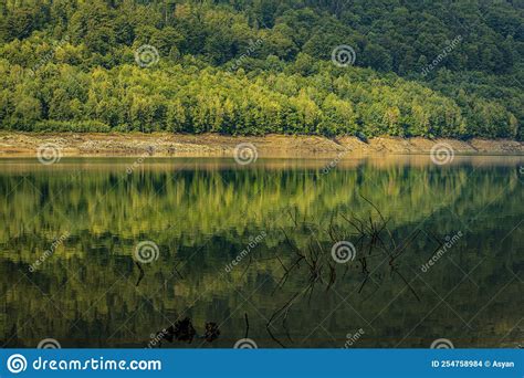 Poiana Marului Lake Romania Stock Photo Image Of Adventure Forest