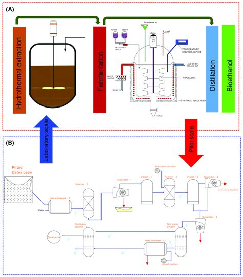 Schematic Representation Of Bioethanol Production Processes A Download Scientific Diagram