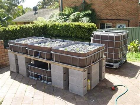 Ibc Aquaponics Build Kile