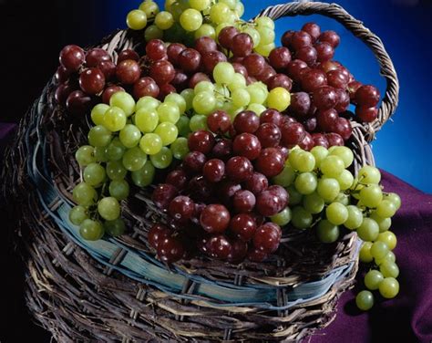 How Many Calories Per Grape? | Livestrong.com