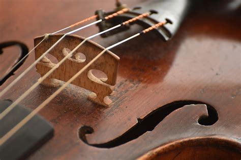 Comment protéger et entretenir vos cordes de violon