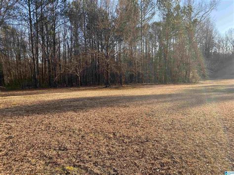 3 acres in Calhoun County, Alabama