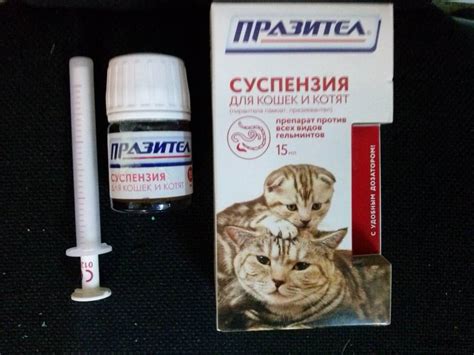 Какие обезболивающие препараты разработаны для кошек, что можно дать ...