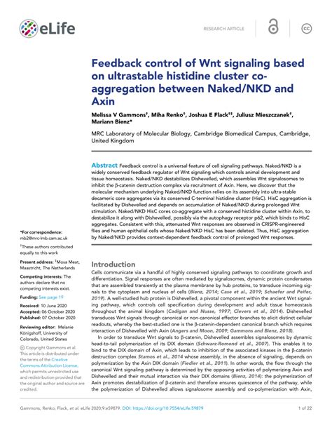 Pdf Feedback Control Of Wnt Signaling Based On Ultrastable Histidine