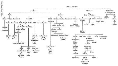 M Ballan On Twitter Genealogical Chart Of The Alids Descendants Of