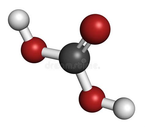 Carbonic Acid Molecule Formed When Carbon Dioxide Is Dissolved In