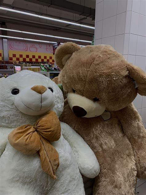 Two Large Teddy Bears Sitting Next To Each Other