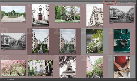 How to Find Your Photos in the Lightroom Catalog Using Filters