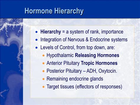 Ppt The Endocrine System And Hormone Physiology Powerpoint Presentation Id4801951