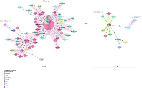 Minimum Spanning Tree Of The Wgmlst Allelic Profiles For Salmonella