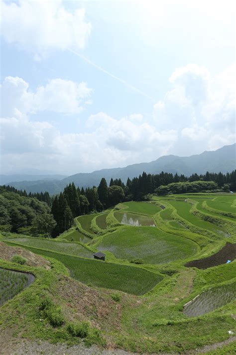 美しい日本の原風景「うへ山の棚田」 【公式】【兵庫県 山陰湯村温泉】湧泉（ゆうせん）の宿 ゆあむ の楽天ブログ 楽天ブログ