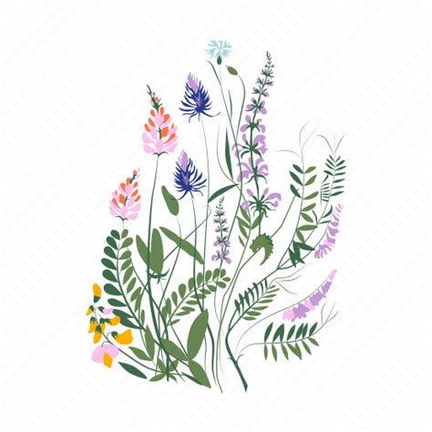 Botanical, posters illustration - Download on Iconfinder