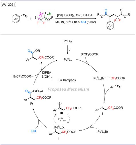 Palladium Catalyzed Difluoroalkylative Carbonylation Of Aryl Alkenes