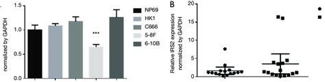 Figure S1 Expression Level Of Irs2 Mrna In Npc Cell Lines And Tissues