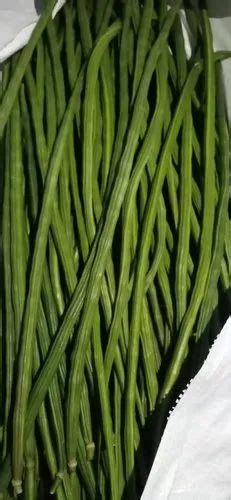 Maharashtra A Grade Green Fresh Drumstick Kg Moringa Oleifera At Rs