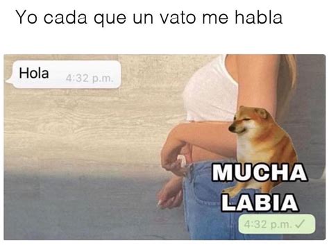 Yo Cada Que Un Vato Me Habla Hola Mucha Labia Memes