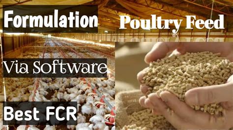 Broiler Finisher Feeding Formula Prepared On Software Part 2 YouTube