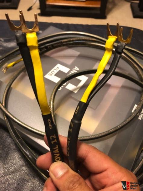 Analysis Plus Oval 12 Speaker Cables 8 Feet Spades For Sale Canuck