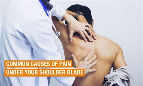 5 Common Causes Of Shoulder Blade Pain And Preventive Measures Qi Spine