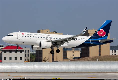 B 9956 Airbus A320 214 Qingdao Airlines Wayne Song JetPhotos