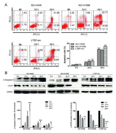 Wa Induced Cell Apoptosis Of Sclc Cells A The Apoptosis Cells Of