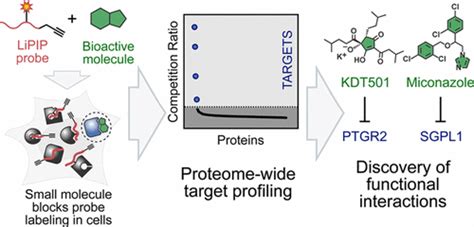 Mapping Protein Targets Of Bioactive Small Molecules Using Lipid Based