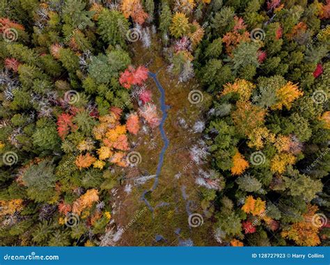 Drone Photo Fall Foliage Acadia National Park in Autumn Stock Image ...